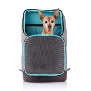 Kurgo Sac à Dos de Transport pour Petits Animaux