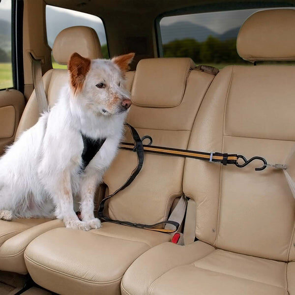 Kurgo Sangle d’Attache Auto Zip Line